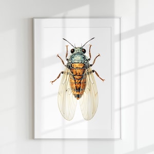 Cicada Print, Bug Print, Insect Print, Botanical guide, Cicada, Wall Art, Wall Print, Bug Poster, Bug lithograph, Insect, Bug