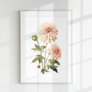 Dahlia Print, Floral Print, Flower Print, Botanical Print, Dahlia, Wall Art, Wall Print, Botanical Poster, Flower lithograph, Vintage