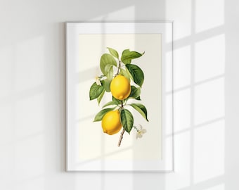 Lemon Print, Fruit Print, Flower Print, Botanical Fruits, Lemon branch, Wall Art, Wall Print, Botanical Poster, Fruit lithograph, Vintage