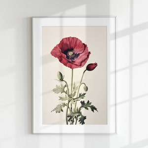 Poppy Print, Floral Print, Flower Print, Botanical Flower, Poppy, Wall Art, Wall Print, Botanical Poster, Flower lithograph, Vintage poster