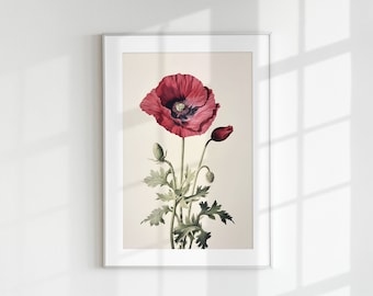 Poppy Print, Floral Print, Flower Print, Botanical Flower, Poppy, Wall Art, Wall Print, Botanical Poster, Flower lithograph, Vintage poster
