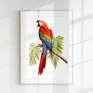 Parrot Wall Art PRINTABLE Scarlet Macaw Tropical Exotic Bird Vibrant Colorful Minimal Poster Botanical Wildlife Bird Lover’s Decoration