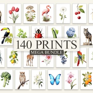 Whole Shop Natur Print Mega Bundle Wandkunst Poster Blumen Pflanzen Insekten Käfer Kräuter Obst Fisch Gemüse Tiere Pilze Vögel Minimal