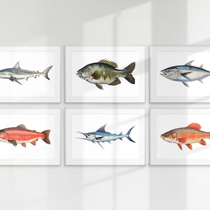 May include: Six framed illustrations of different fish species, including a shark, a bass, a tuna, a trout, a marlin, and a red fish. The illustrations are all in a realistic style and are set against a white background.
