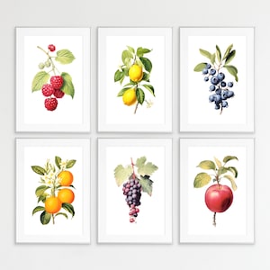 Fruit Print Bundle Set of 6 Botanical guide Wall Art Posters Lemon Orange Apple Grape Blueberry Raspberry Kitchen Minimal Colorful Fresh