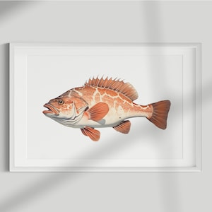 Grouper Print, Fish Print, Grouper, Wall Art, Wall Print, Fish Poster, Fish lithograph, Vintage, Illustration, Decor, Fishing, Download
