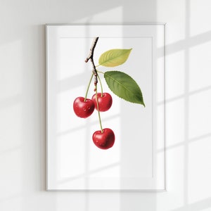 Cherry Print, Fruit Print, Flower Print, Botanical Fruits, Cherry branch, Wall Art, Wall Print, Botanical Poster, Fruit lithograph, Vintage