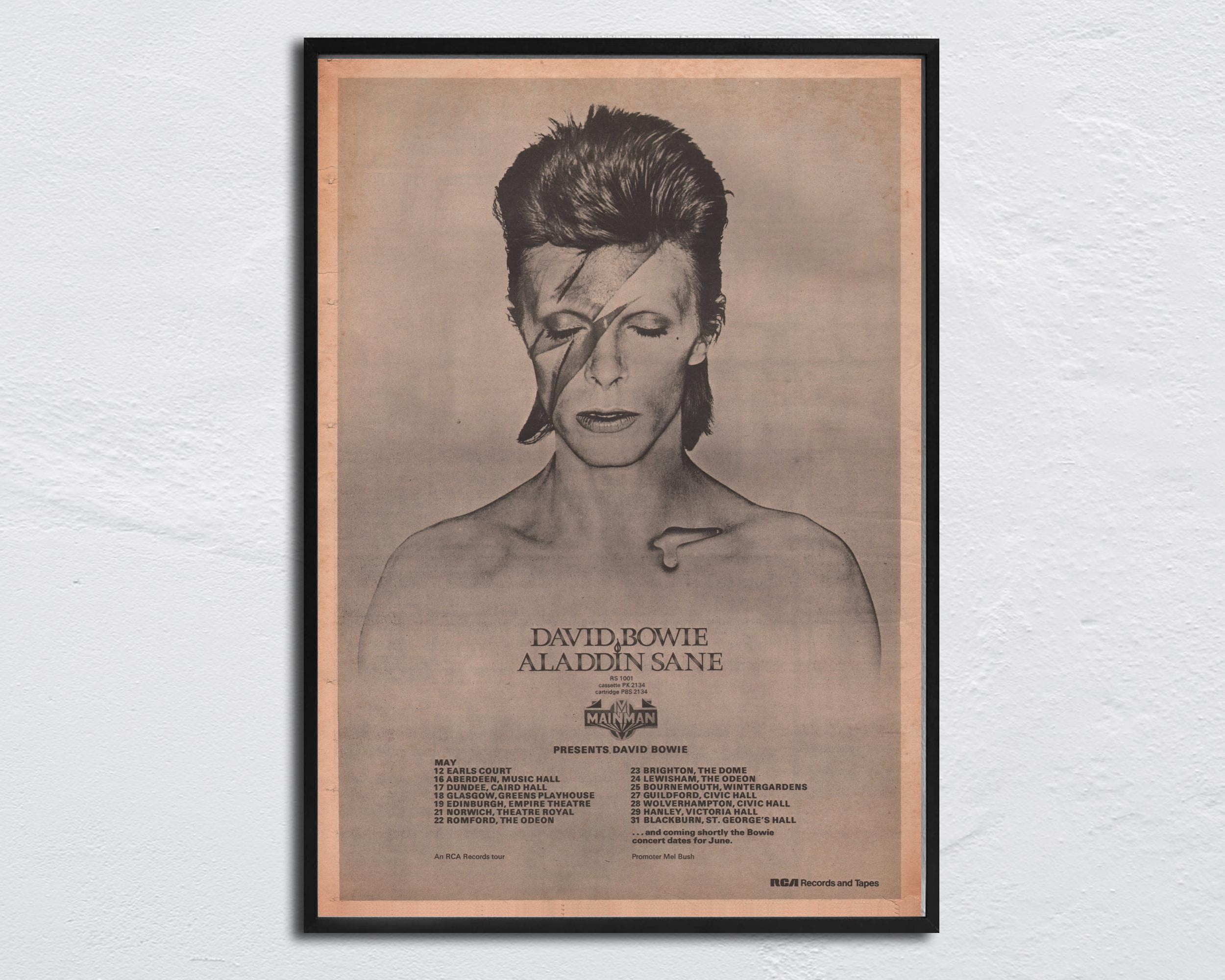David Bowie Postcard - Etsy Israel