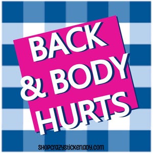 Back and Body Hurts | Old Age | Adult Humor | Funny | Memes | Gifts | Hardhat | Stickers | Decals