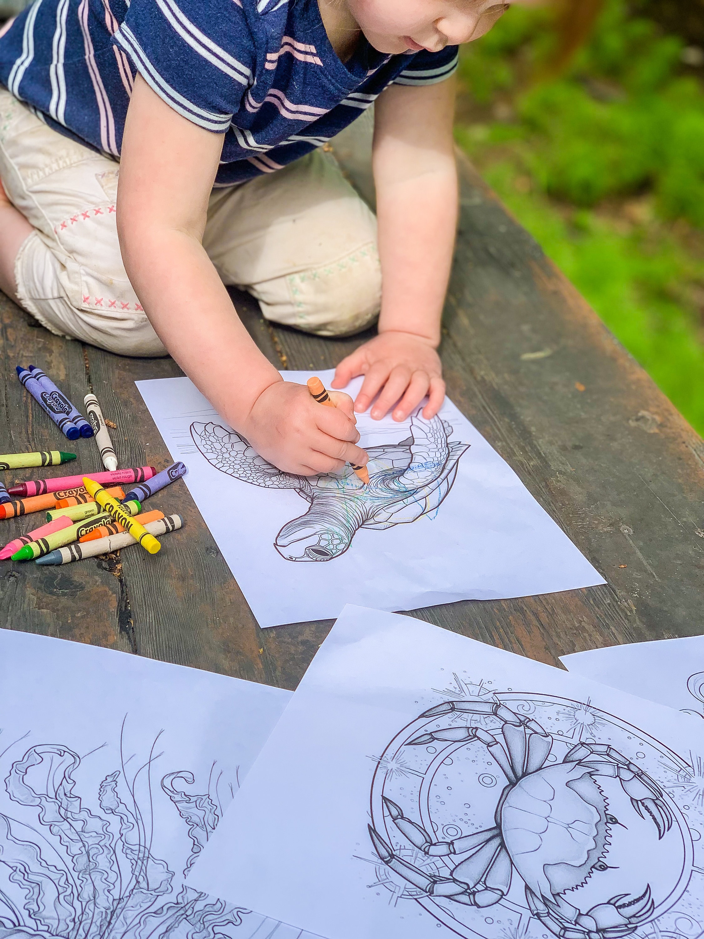 Ocean Odyssey, Ocean Coloring Book, Printable Pages, Adult Coloring ...