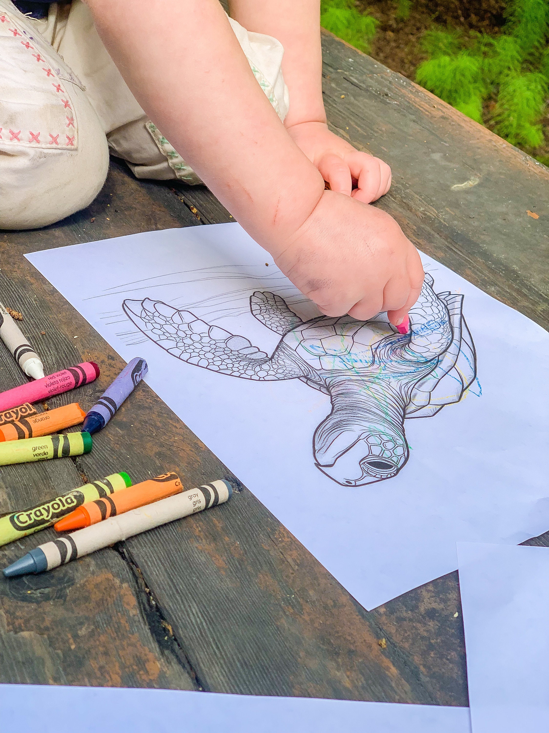 Ocean Odyssey Ocean Coloring Book Printable Pages Adult - Etsy