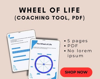 Template for Coaching, Digital Download PDF, Coaching Wheel of Life Worksheet Template, Wheel of Life Printable, Journaling Workbook Journal