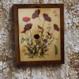 Foto di quadro in legno. Disegno vintage fiore botanico. Foto del quadro fatto principale. Foto di quadro vintage fleur sauvage. Foto quadro multicolore
