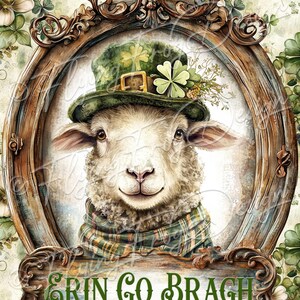May include: A white sheep wearing a green leprechaun hat with a shamrock and a plaid scarf. The sheep is framed in a wooden oval frame with the words "Erin Go Bragh" on a wooden sign below.