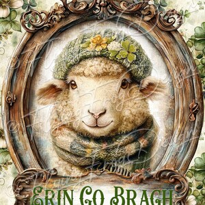 May include: A framed illustration of a white sheep wearing a green hat with shamrocks and a green scarf. The frame is made of wood and has a blue background. The text "Erin Go Bragh" is written on a wooden sign below the frame.