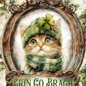May include: A digital illustration of a ginger cat wearing a green hat with a shamrock and a green and white plaid scarf. The cat is framed in a wooden oval with the words "Erin Go Bragh" at the bottom.