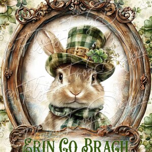 May include: A watercolor illustration of a rabbit wearing a green plaid hat, scarf, and a four-leaf clover. The rabbit is framed in an ornate wooden oval with the words "Erin Go Bragh" at the bottom. The background features shamrocks and butterflies.