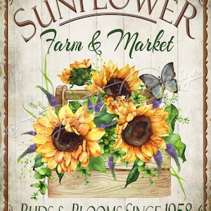 May include: A vintage-style sign with the text "Sunflower Farm & Market" in brown and green lettering. The sign features a watercolor illustration of sunflowers in a wooden crate with a butterfly.