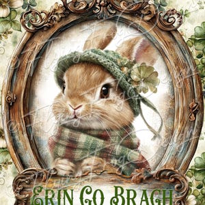 May include: A brown rabbit wearing a green hat and scarf, framed in a wooden frame with a sign that reads "Erin Go Bragh".