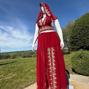 May include: A red, floor-length dress with a long, flowing skirt and a fitted bodice. The dress is adorned with gold embroidery and sequins. The dress has a deep V-neckline and a hood.
