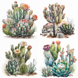 Cactus de acuarela, planta del desierto, más de 20 cactus del desierto, arte digital PNG 400 gráficos, descarga digital instantánea, uso comercial