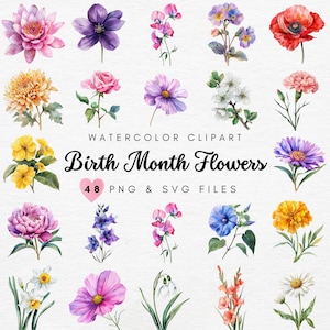 Clipart de flores do mês de nascimento, clipart floral aquarela flores silvestres SVG e PNG, gráficos de flores em aquarela, impressão de flores DIY, uso comercial