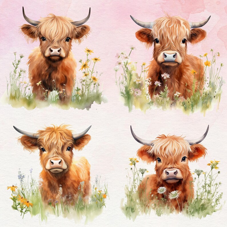 Highland Cow Watercolor Clipart - Cow Clipart PNG Bundle, Cow in the ...
