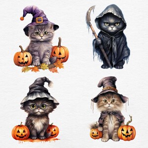 K&ouml;nnte beinhalten: Vier Illustrationen von Halloween-Katzen. Jedes K&auml;tzchen ist in einem Kost&uuml;m gekleidet, darunter Hexenh&uuml;te und ein Sensenmann-Outfit. Jedes K&auml;tzchen wird von geschnitzten orangefarbenen K&uuml;rbissen und Herbstbl&auml;ttern begleitet.