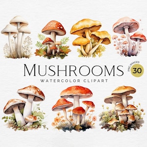Aquarelle de champignons champignons | Forêt Nature champignon PNG, automne automne Clipart pour travaux manuels en papier, décoration, journal indésirable pour chambre d'enfant, usage Commercial