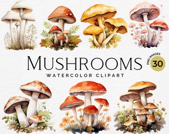 Imágenes Prediseñadas de setas de acuarela, PNG de setas naturales del bosque, Imágenes prediseñadas de otoño para manualidades de papel, Decoración, Diario basura de guardería, Uso comercial
