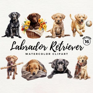 Labrador Clipart Bundle | Watercolor Labrador Retriever Clipart PNG Dog Clipart Black Labrador - PNG Transparent - Commercial Use