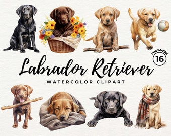 Zestaw Labrador Clipart | Akwarela Labrador Retriever Clipart PNG Pies Clipart Czarny Labrador - PNG Przezroczysty - Użytek Komercyjny