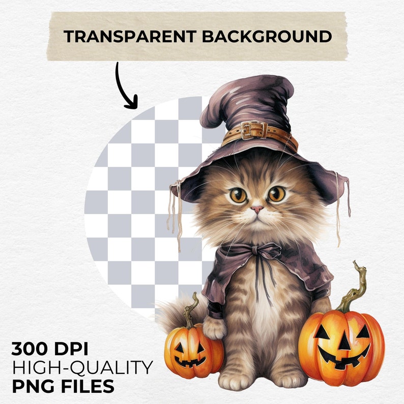 K&ouml;nnte beinhalten: Eine Aquarellillustration einer flauschigen braun-beigen Katze mit lila Hexenhut und Umhang, mit zwei orangefarbenen K&uuml;rbissen. Das Bild enth&auml;lt den Text "TRANSPARENT BACKGROUND" und "300 DPI HIGH-QUALITY PNG FILES."