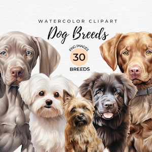 Watercolor Dogs Clipart | 30 Dog Breeds Clipart Bundle, Puppy Dog Clipart PNG Cute Dog Breed Illustrations, Pets Clipart DIY, Commercial Use