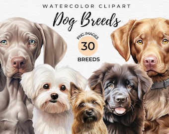 May include: Watercolor clipart of 30 different dog breeds. The image features a Weimaraner, a Labrador Retriever, a Maltese, a Yorkshire Terrier, and a Newfoundland.
