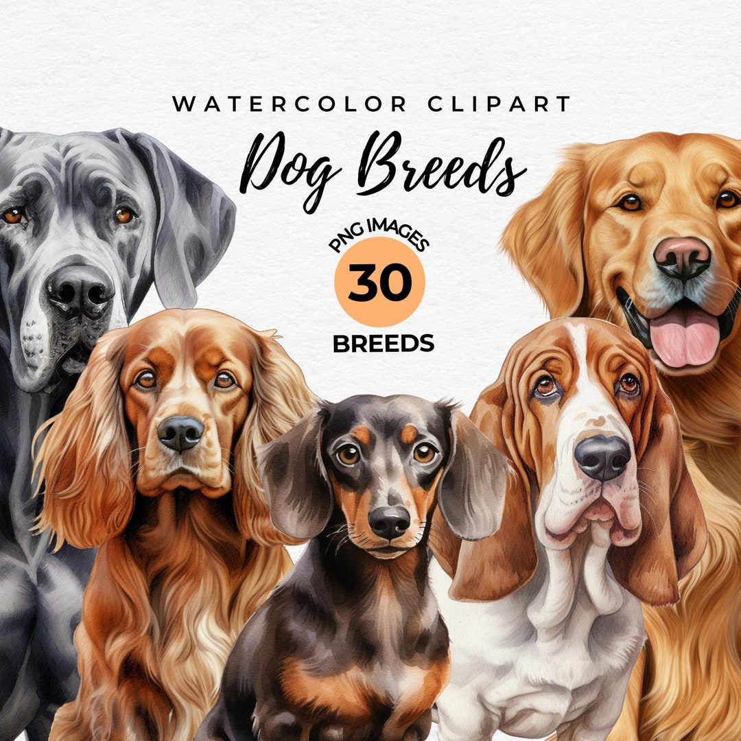 Dog Breeds Clipart Bundle | 30 Watercolor Dogs PNG Bundle, Dog Lover ...