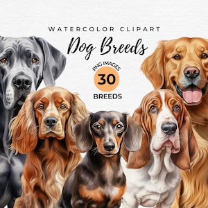 Dog Breeds Clipart Bundle | 30 Watercolor Dogs PNG Bundle, Dog Lover Gift, Card Making, Dog Sublimation Designs, Puppy Dog, Commercial Use