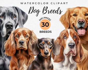 Dog Breeds Clipart Bundle | 30 Watercolor Dogs PNG Bundle, Dog Lover Gift, Card Making, Dog Sublimation Designs, Puppy Dog, Commercial Use