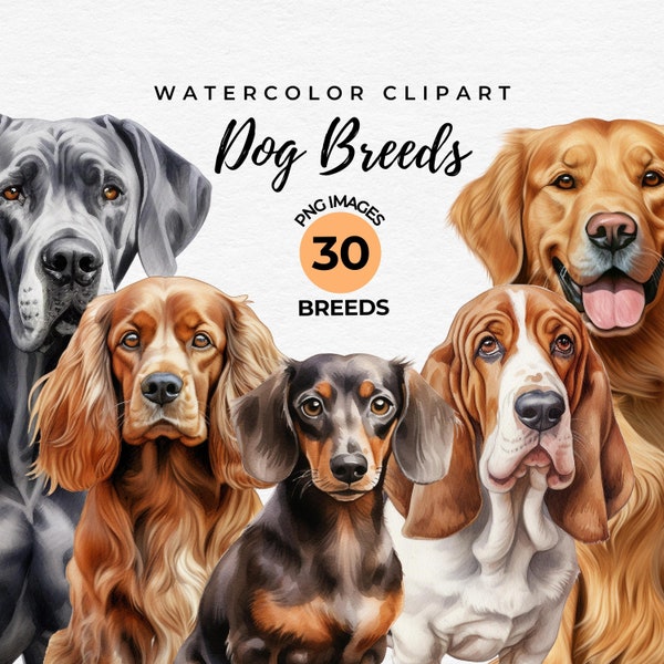 Dog Breeds Clipart Bundle | 30 Watercolor Dogs PNG Bundle, Dog Lover Gift, Card Making, Dog Sublimation Designs, Puppy Dog, Commercial Use