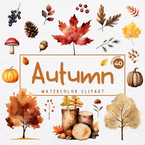 Clipart automne | Forêt automne PNG Bundle, Clipart de feuilles, Clipart automne pour créations artisanales en papier, décoration, journal indésirable, sublimation, usage Commercial
