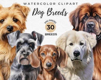 Watercolor Dogs Clipart | 30 Dog Breeds Clipart Bundle, Dogs Lover Gift, Card Making, Dog Sublimation Designs, Puppy Dog PNG, Commercial Use