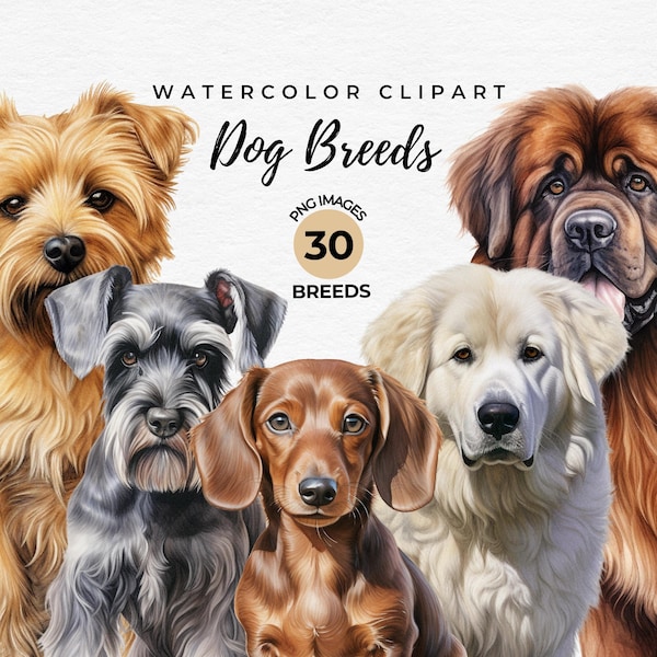 Watercolor Dogs Clipart | 30 Dog Breeds Clipart Bundle, Dogs Lover Gift, Card Making, Dog Sublimation Designs, Puppy Dog PNG, Commercial Use