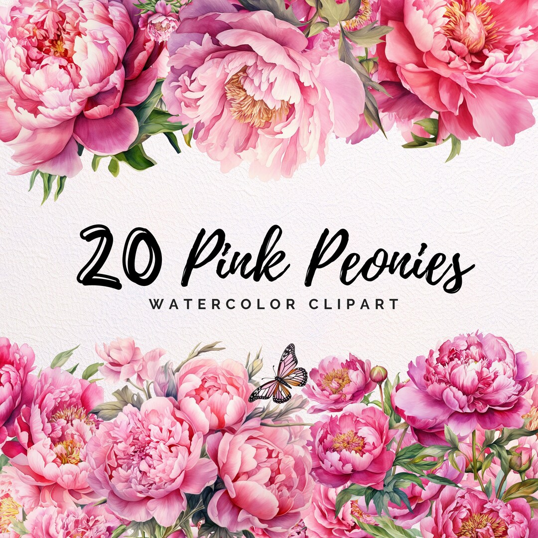 Watercolor Pink Peony Clipart - Transparent PNG Clipart Bundle ...