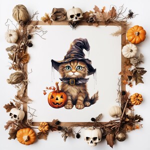 K&ouml;nnte beinhalten: Eine Halloween-Illustration zeigt ein braunes Tabby-K&auml;tzchen mit Hexenhut und Kragen, das einen geschnitzten K&uuml;rbis h&auml;lt. Das Bild ist mit Herbstbl&auml;ttern, K&uuml;rbissen und Totenk&ouml;pfen umrahmt.