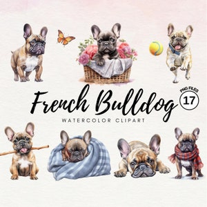 Clipart bouledogue français aquarelle | Bundle de cliparts chien Frenchie, chien PNG, portrait de chien, cadeau de maman Frenchie, parfait pour la fabrication de cartes, impression