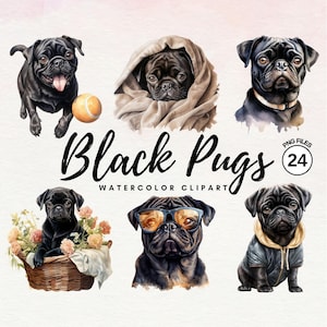 Schwarzer Mops Clipart - Aquarell Mops Clipart Bundle | Hund PNG | Süßer Hund Clipart | Mops Welpe Clipart | Hund Aquarell | Kommerzielle Lizenz