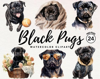 Zwarte Pug Clipart - aquarel Pug Clipart bundel | Hond PNG | Schattige hond clipart | Mopshond Clipart | Hond aquarel | Commerciële licentie