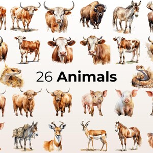 Puede incluir: Ilustraciones de acuarela de 26 animales diferentes, incluyendo un toro, una vaca, un cerdo, un caballo, un ciervo, una serpiente y un alce. Las ilustraciones est&aacute;n en una variedad de poses y se colocan sobre un fondo blanco.