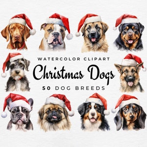 Op de afbeelding: Waterverf clipart met verschillende hondenrassen die kerstmutsen dragen. De afbeelding bevat de tekst "Christmas Dogs" en "50 Dog Breeds". De honden zijn afgebeeld in verschillende kleuren en poses, perfect voor kerstontwerpen.