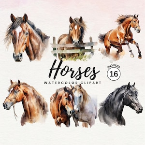 Pferde Aquarell Clipart | Bauernhof Pferde Clipart Bundle | Pferd Clipart | Western Clipart | Bauernhof Tiere PNG | Transparent - Kommerzielle Nutzung